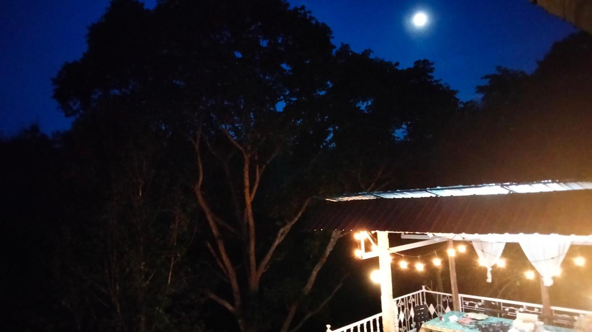 Balmy Hideout Cafe & Homestay Ban Huai Kaeo Εξωτερικό φωτογραφία